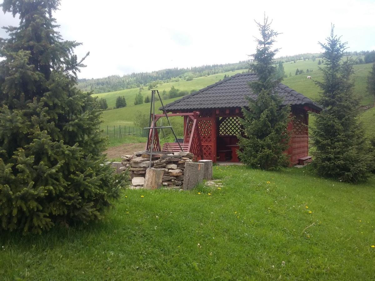Winter & Summer - Chalets Ждяр Екстер'єр фото